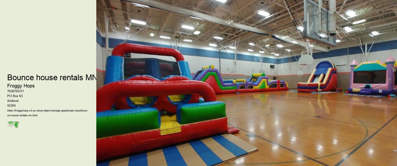Bounce house rentals MN
